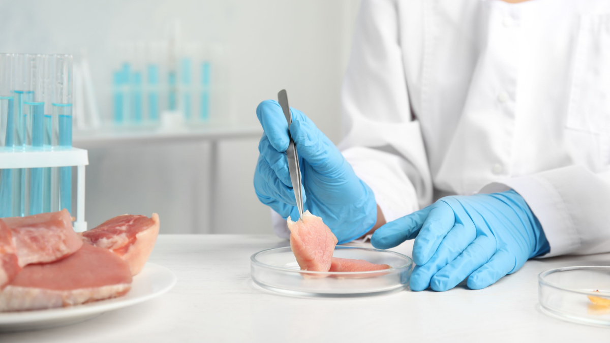 testing chicken meat in a lab