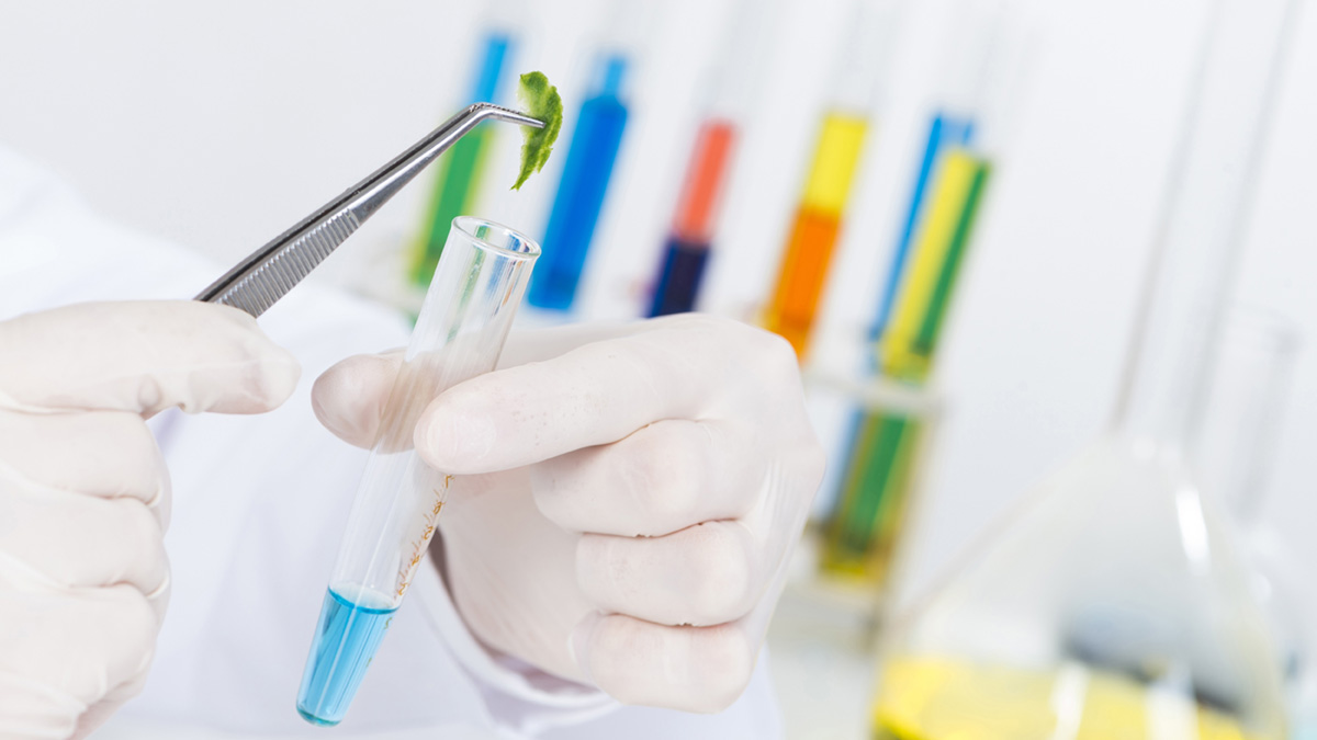Microbiological testing: what food businesses need to know