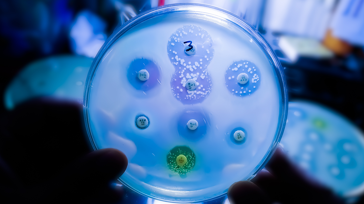 Why antimicrobial resistance is a growing public health crisis
