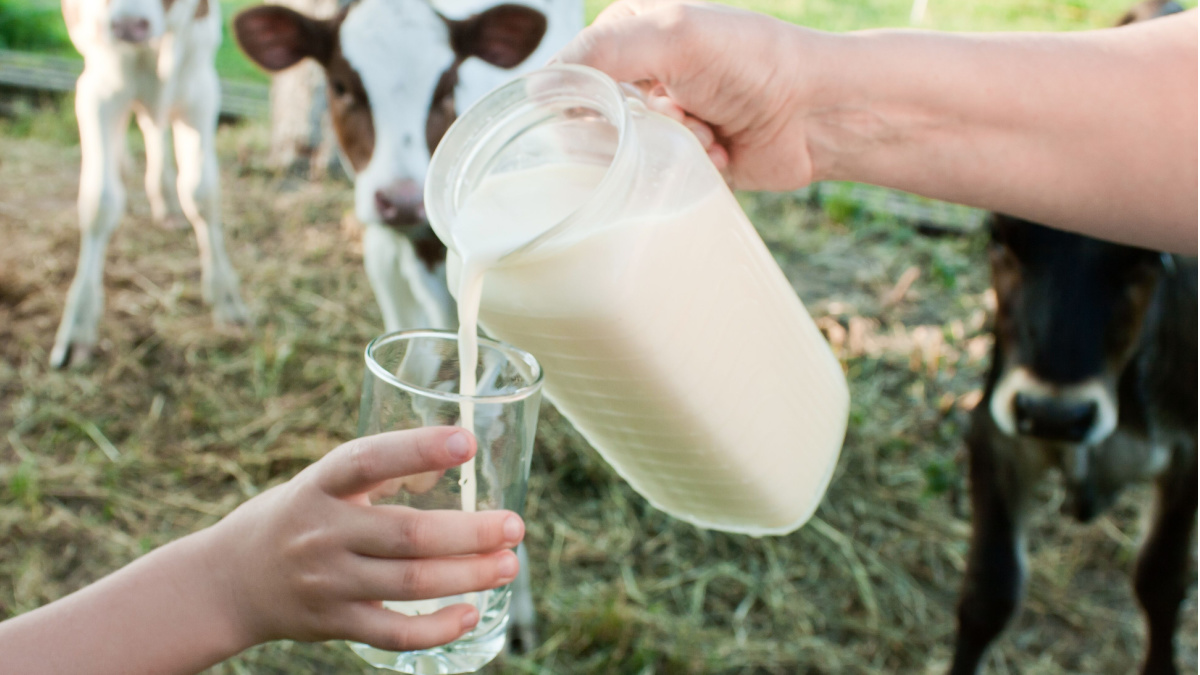 Raw drinking milk - state of play