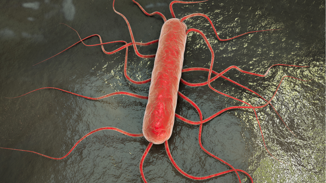 Catch up: Listeria, The Law, and What Good Control Looks Like