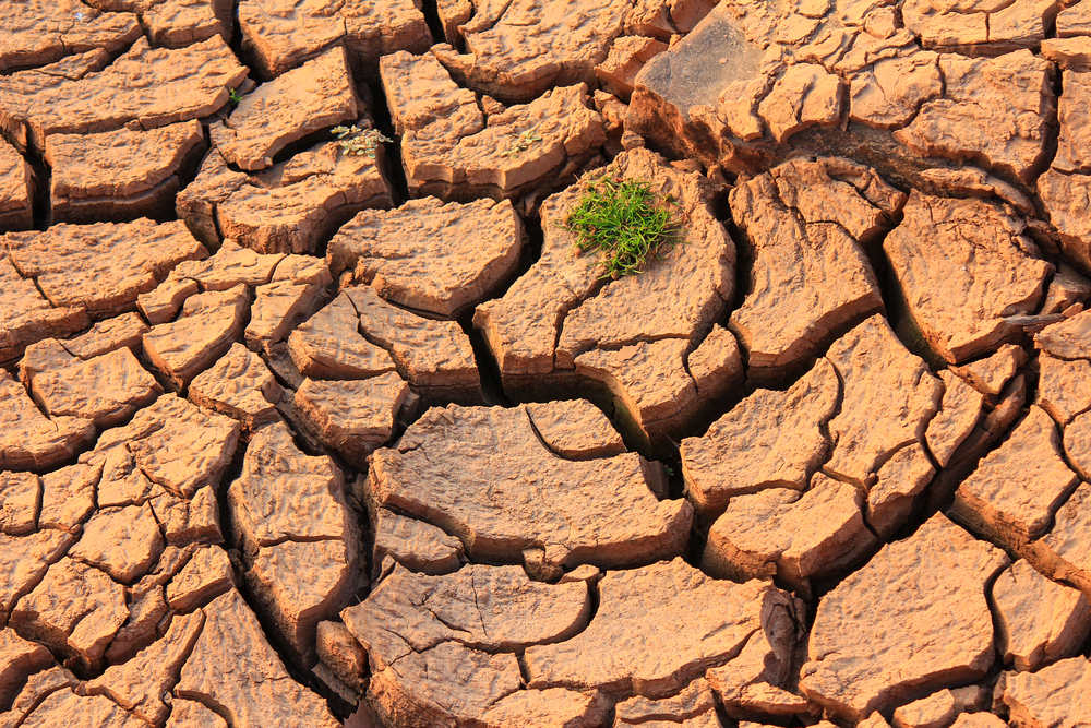 Climate Change Ireland: The potential impacts of climate change on food safety from an island of Ireland perspective