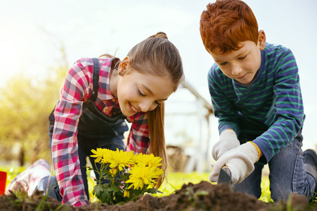 START gardening