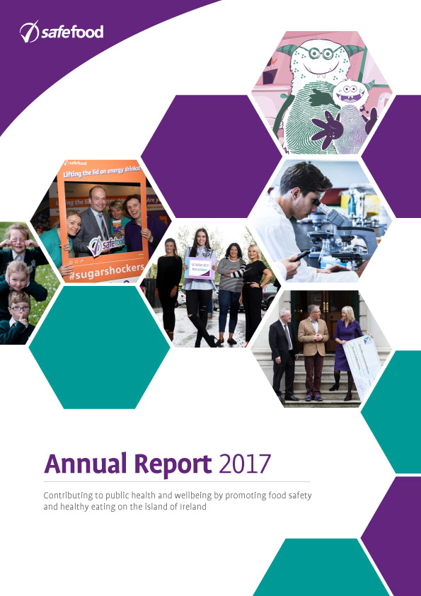 Annual Report 2017 | Tuarascáil Bhliantúil 2017