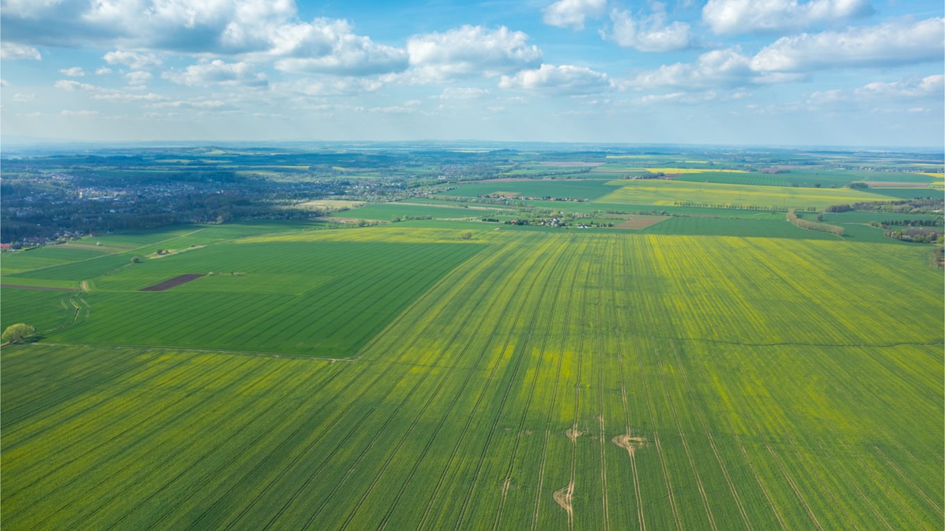 What exactly is food security?