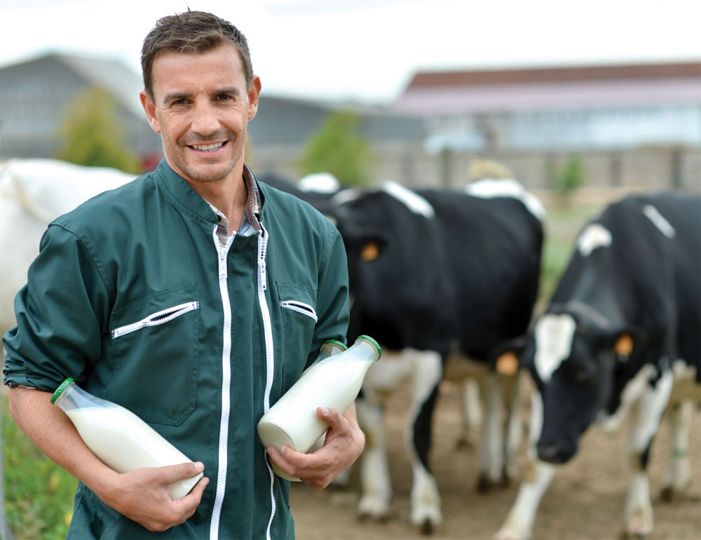 The impact of climate change on dairy production