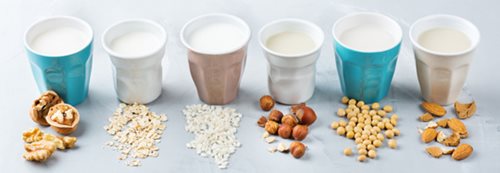 Milk Alternatives