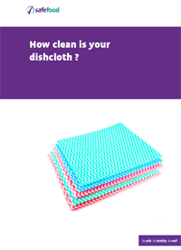 dishcloth report cover