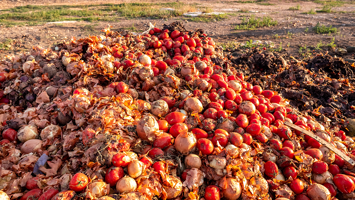Vegetables in a landfill