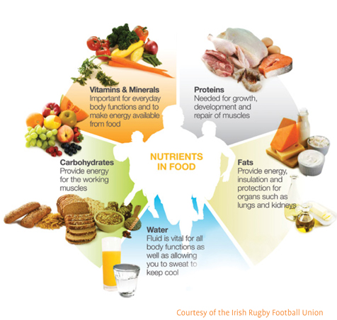 types of nutrients needed in sports