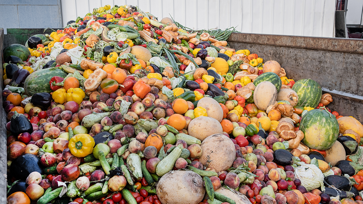 What's Needed to Combat Food Waste
