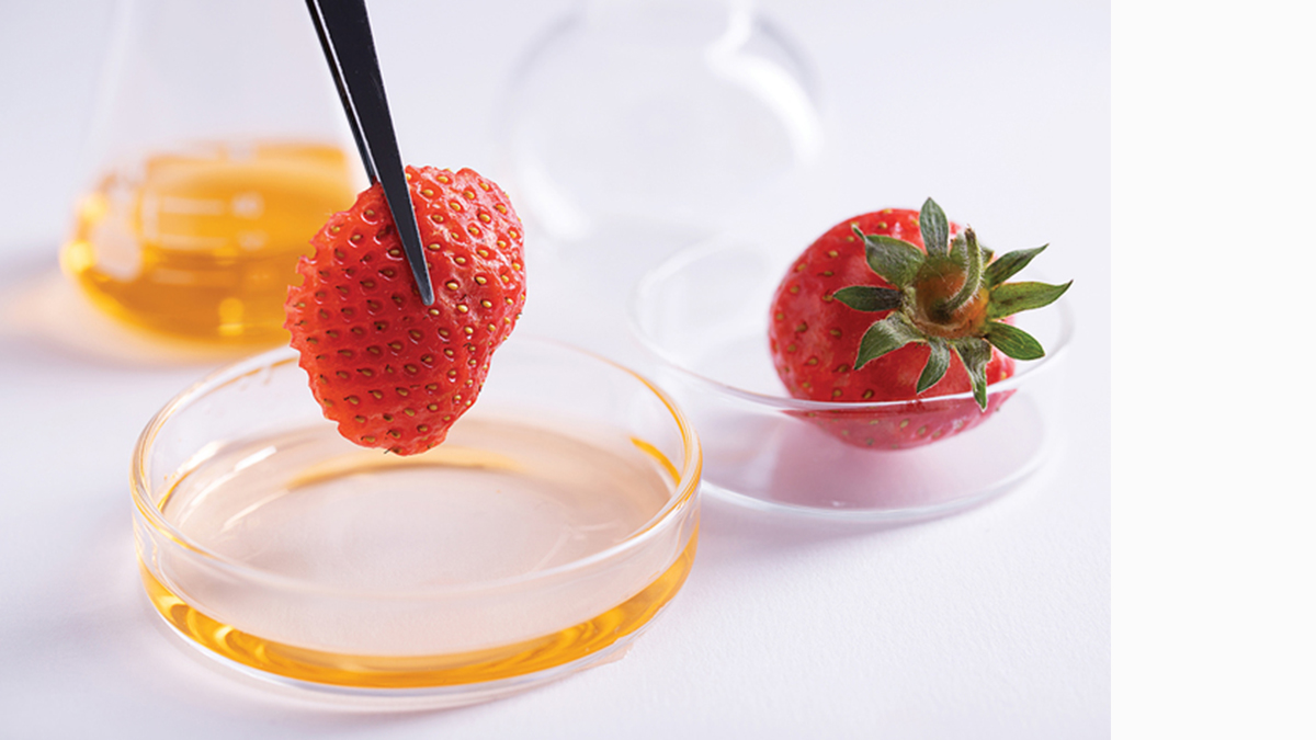 tweezers holding piece of strawberry