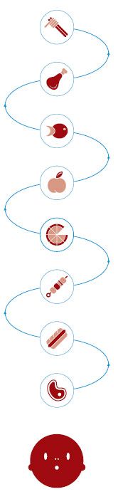 graphic of a simple food chain