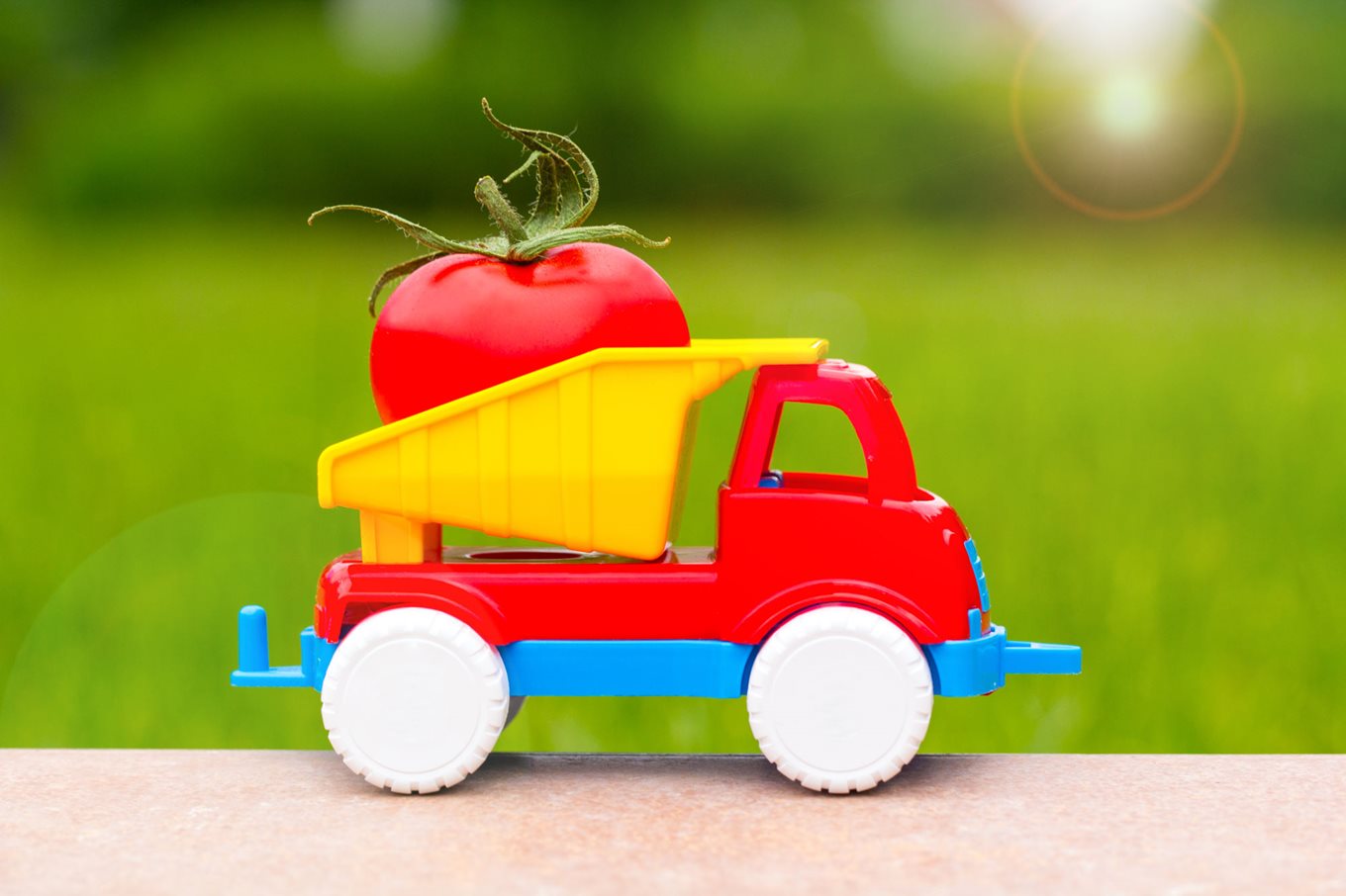 Food delivery and storage