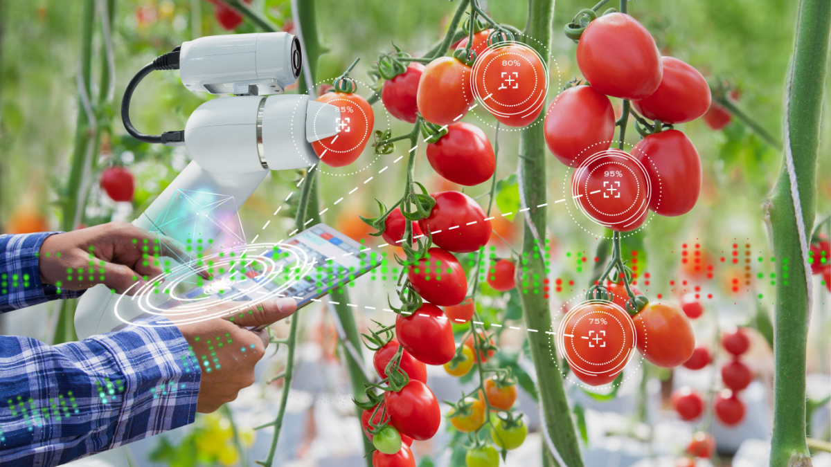 Agri-Food Goes Digital