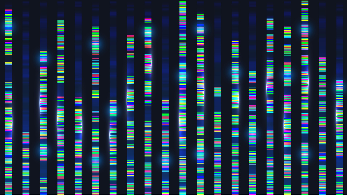 What does whole genome sequencing tell us?