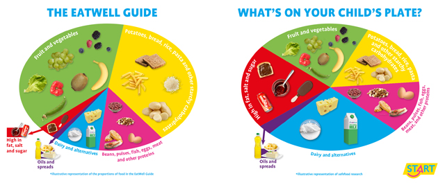 The eatwell guide plate, and the plate with other foods