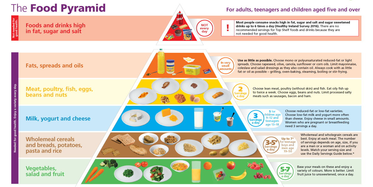 The Food Pyramid