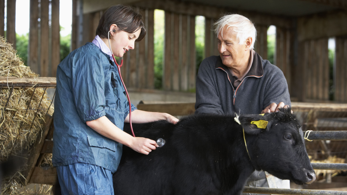 Antimicrobial use in agriculture