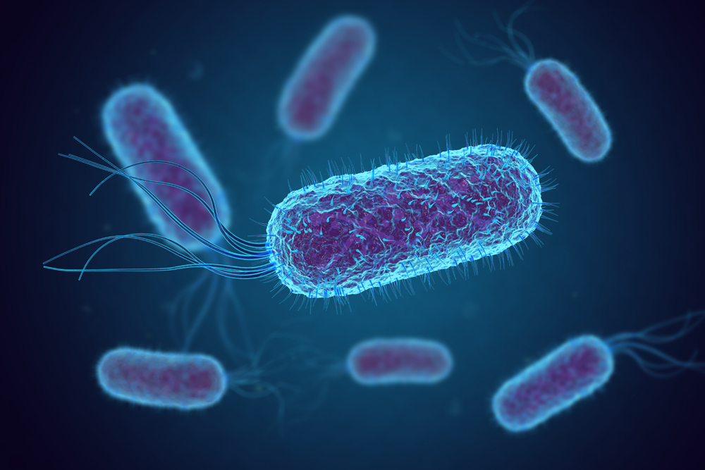 Assessment of antibiotic resistant Escherichia coli in meat production systems