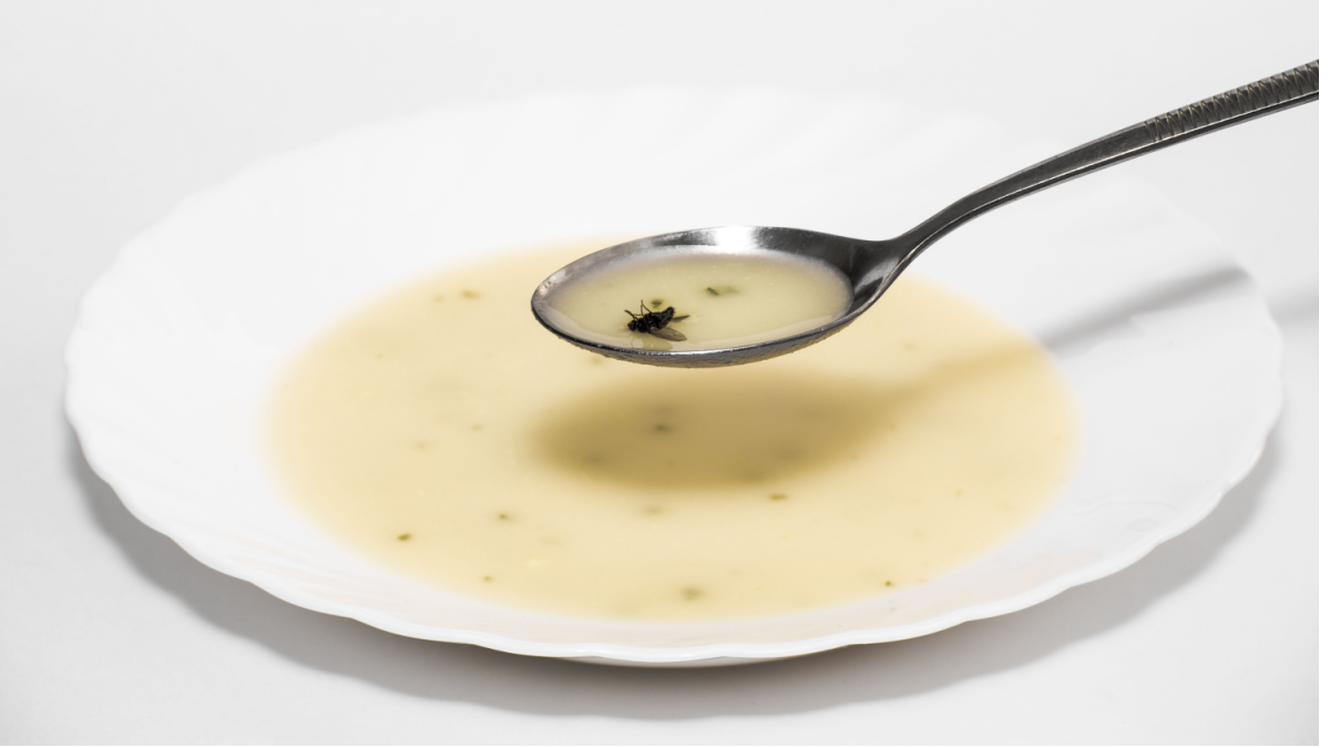 Fly in a bowl of soup