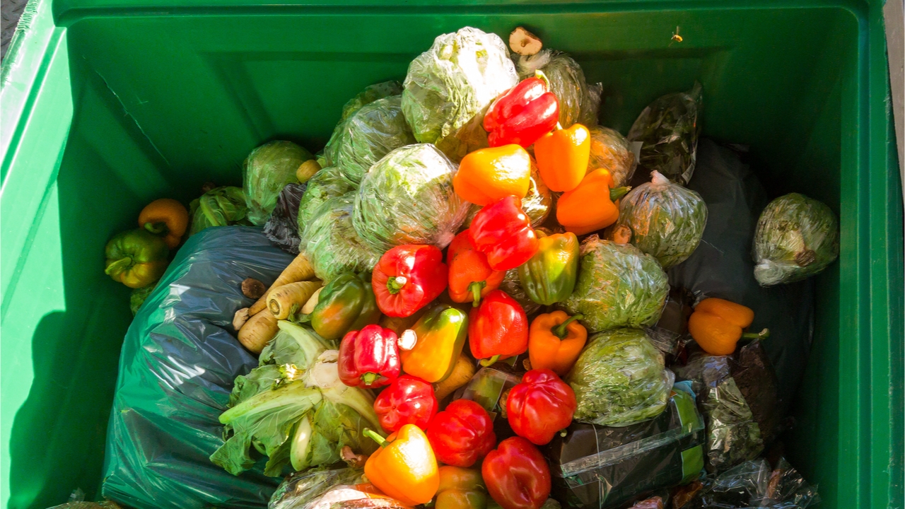 Vegetables in a rubbish bin