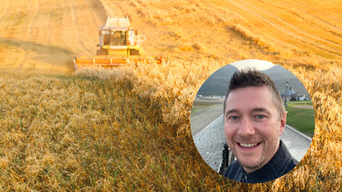 New research into mycotoxins