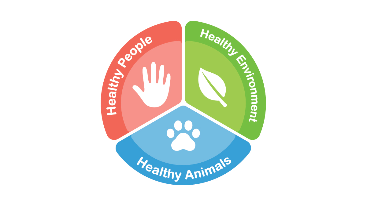 Antimicrobial Resistance and Use in the Farming Sector - Dublin