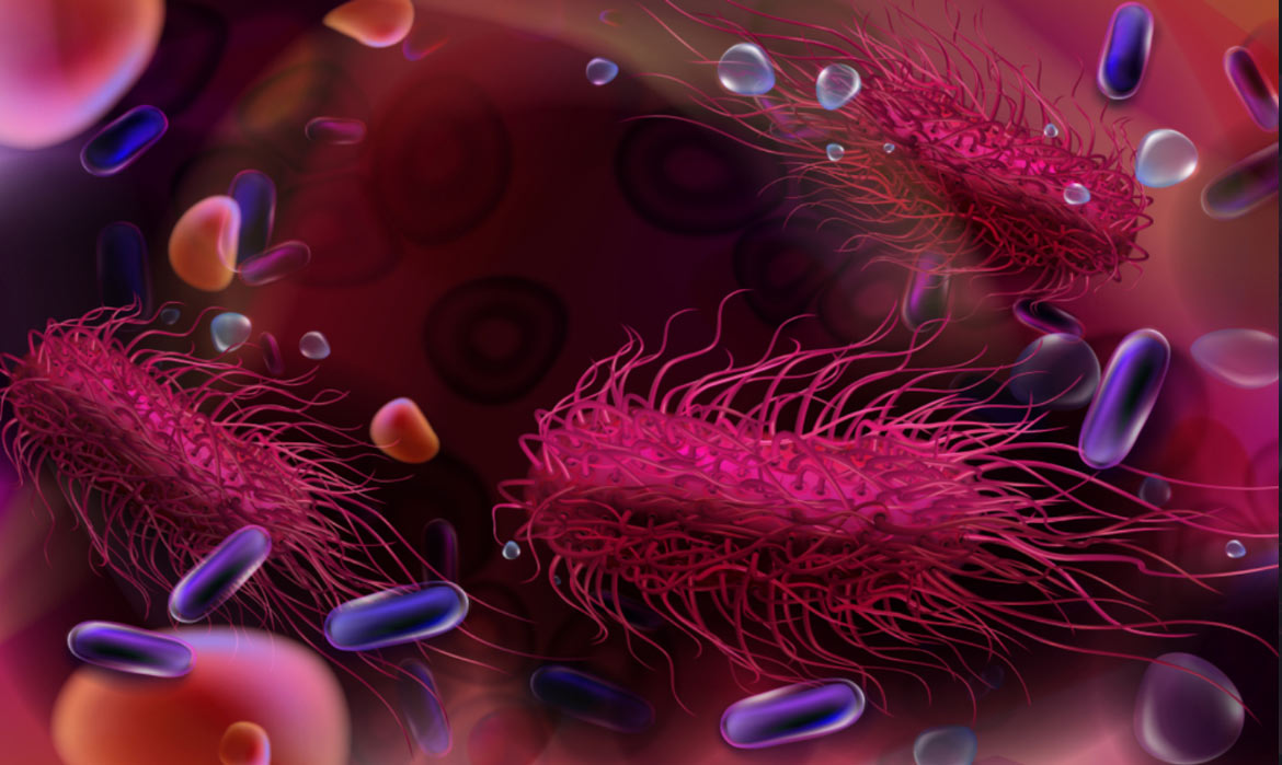 Infezione da Salmonella: sintomi e trattamento