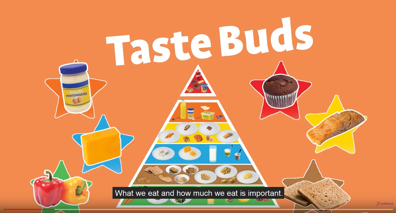 The food pyramid