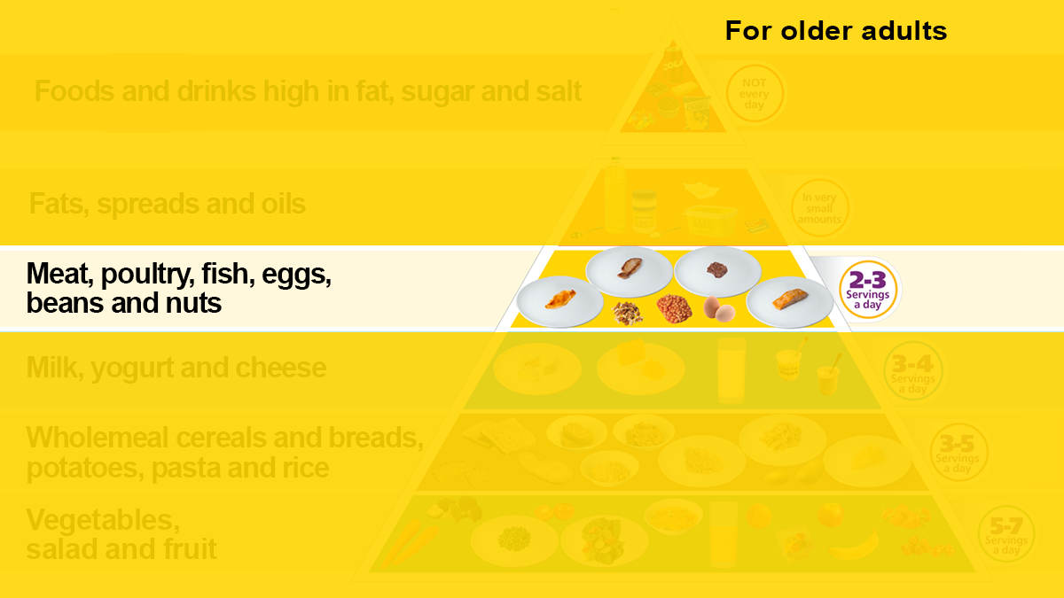 Meat, poultry, fish, eggs, beans and nuts