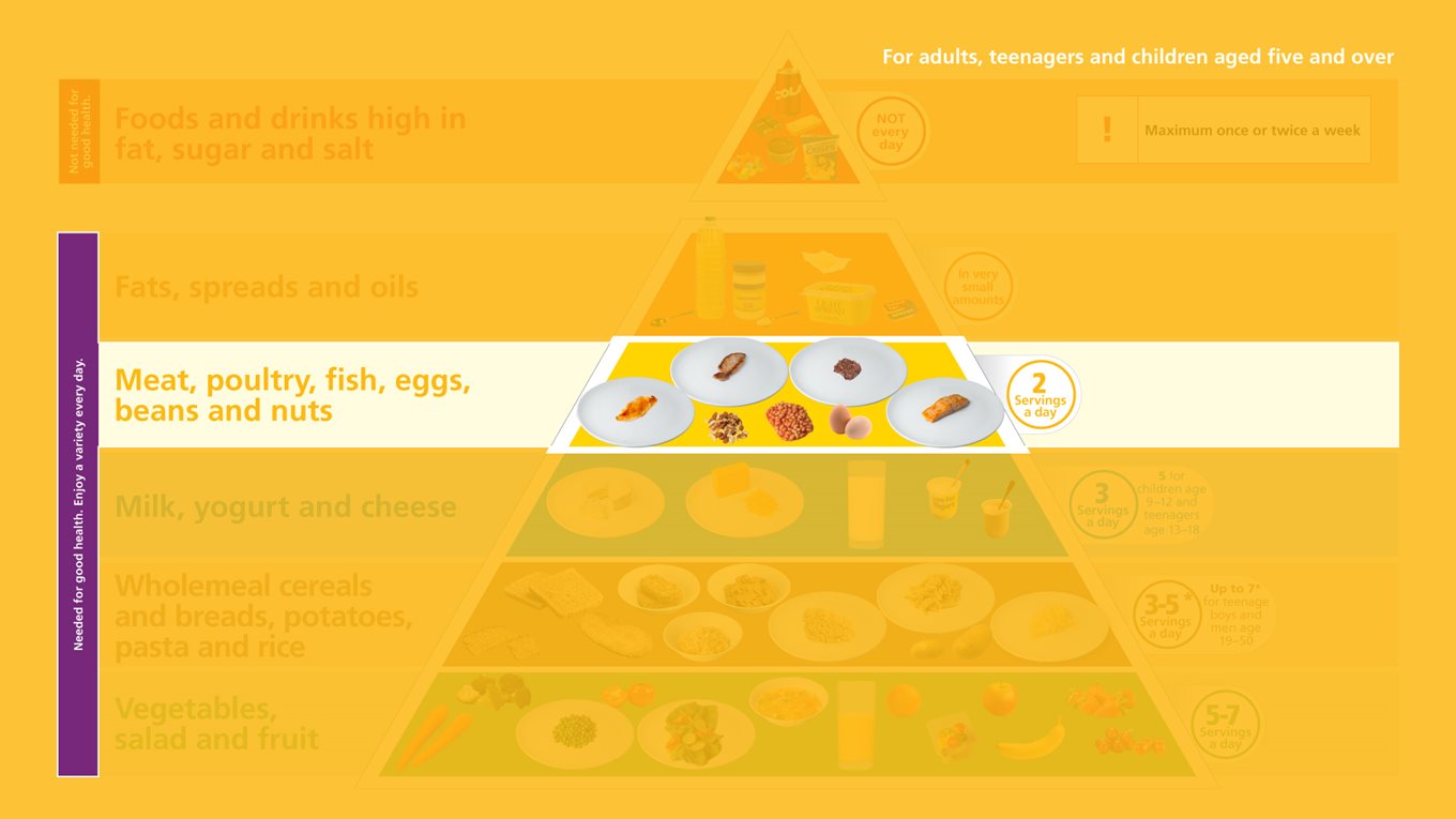 Protein sources: Meat, fish, eggs, beans, nuts