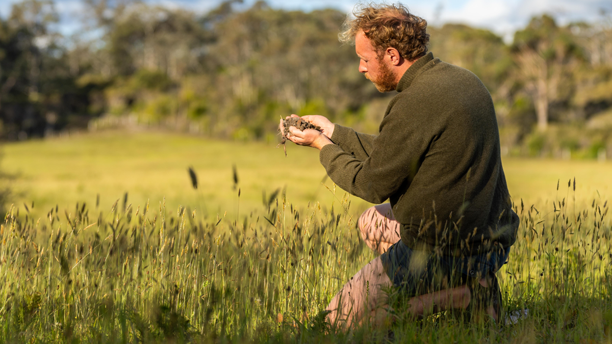 Regenerative agriculture