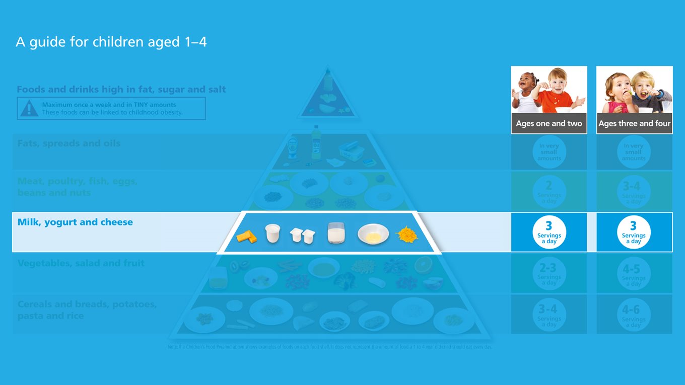 Dairy shelf of the children's food pyramid