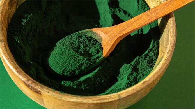 Blue-green algae powder