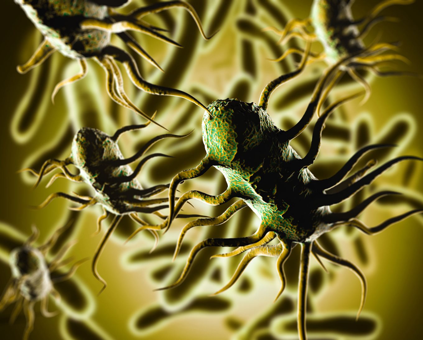 Listeria