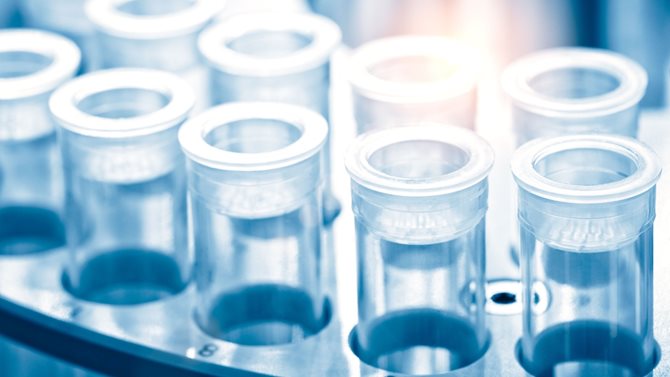Exploration of Novel Technologies to Provide Rapid and Cost-Effective Methods for Counteracting Food Fraud