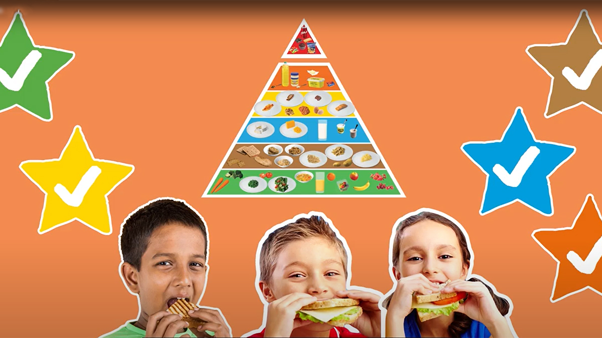 Taste Buds: Food for life | safefood education